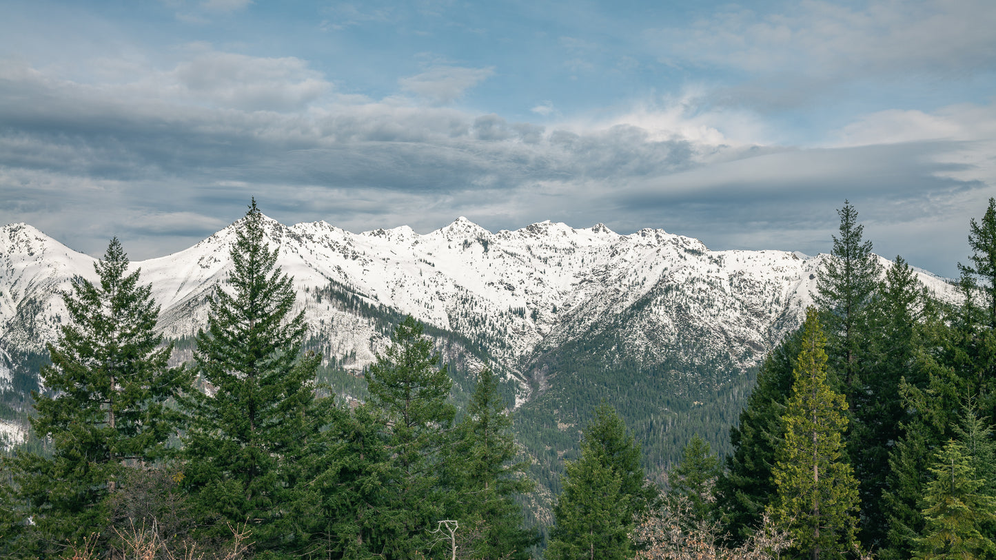 Siskiyou Horizon