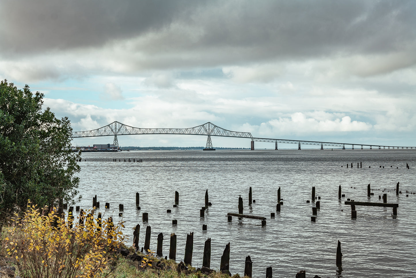 Ghosts of the Waterfront