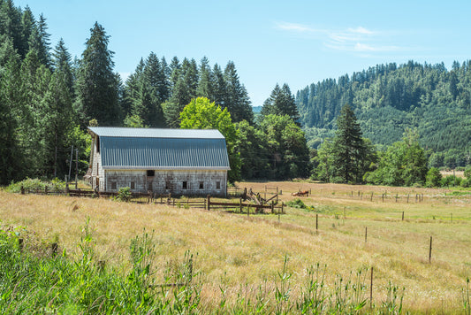 Barn on the Valley Floor
