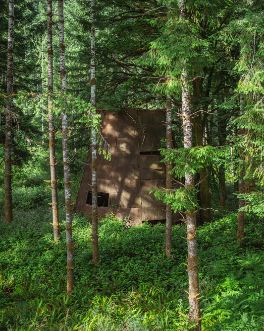Abandoned Logging Burner