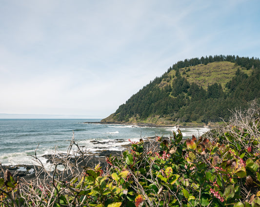 Spring at Cape Perpetua