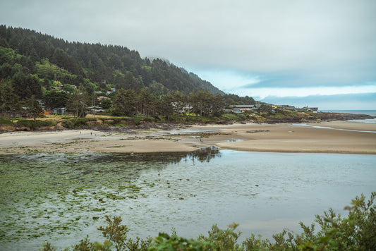 Yachats Bay at Low Tide