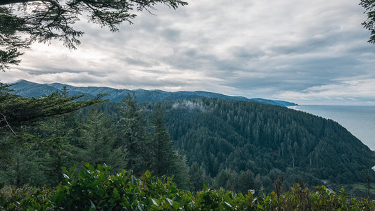 Beyond the Headlands