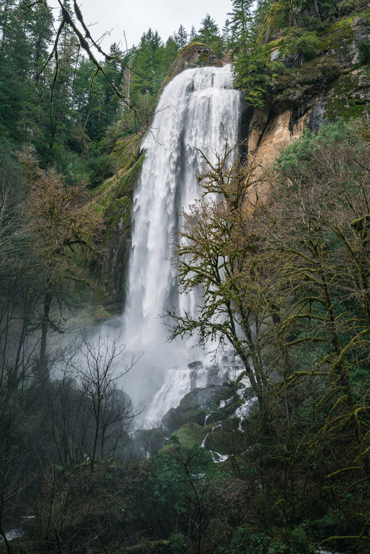 The Descent of Silver Falls
