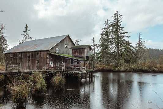 The Net Shed (Horizontal)