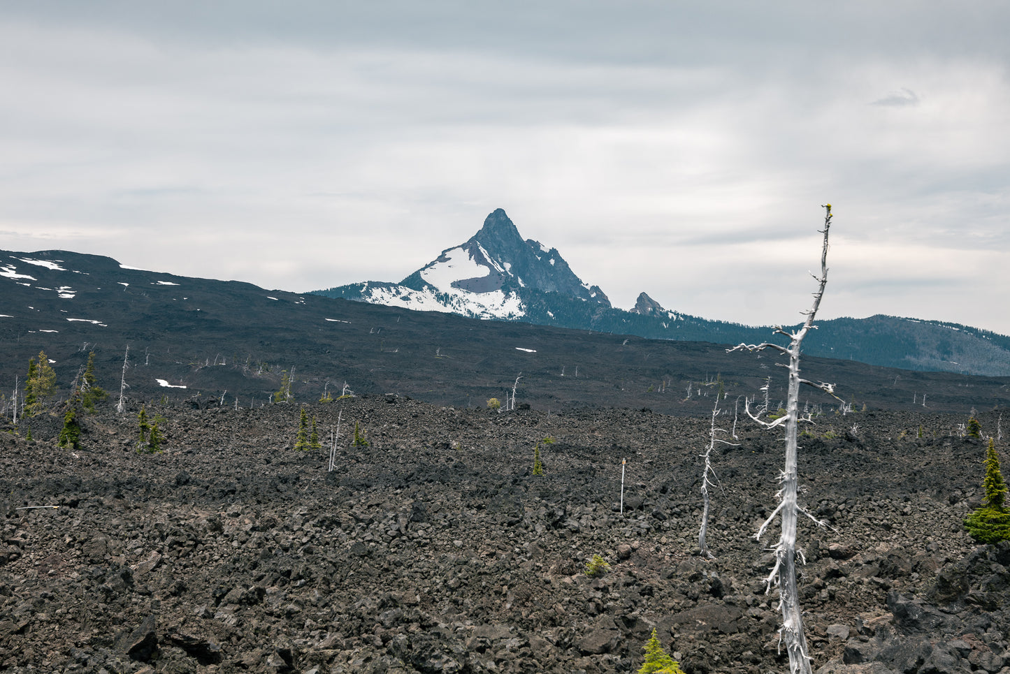 Mount Washington, Oregon