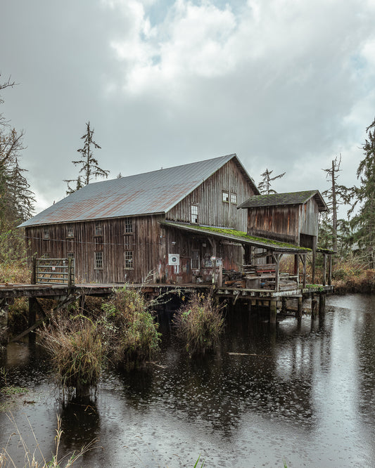 The Net Shed (Vertical)