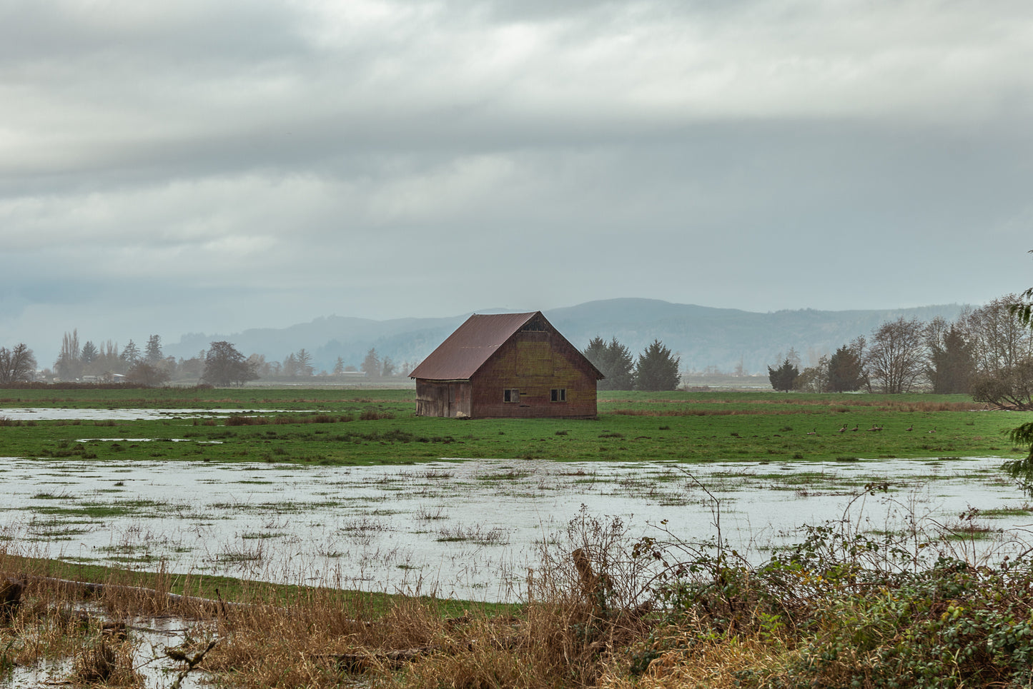 Floodplain Silence