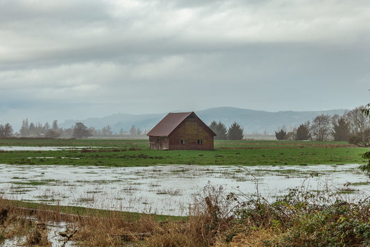 Floodplain Silence
