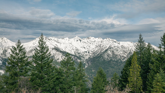 Siskiyou Horizon