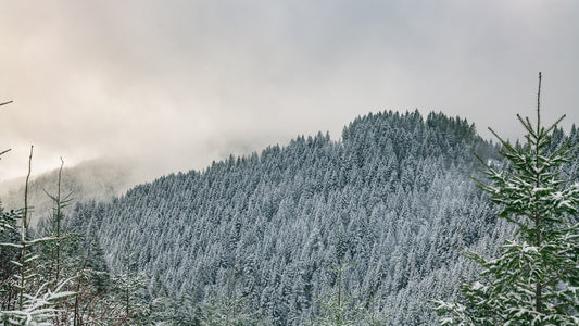 Winter Ridges