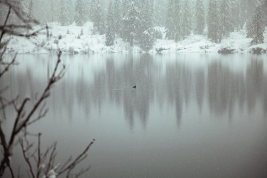 Solitude in Snow