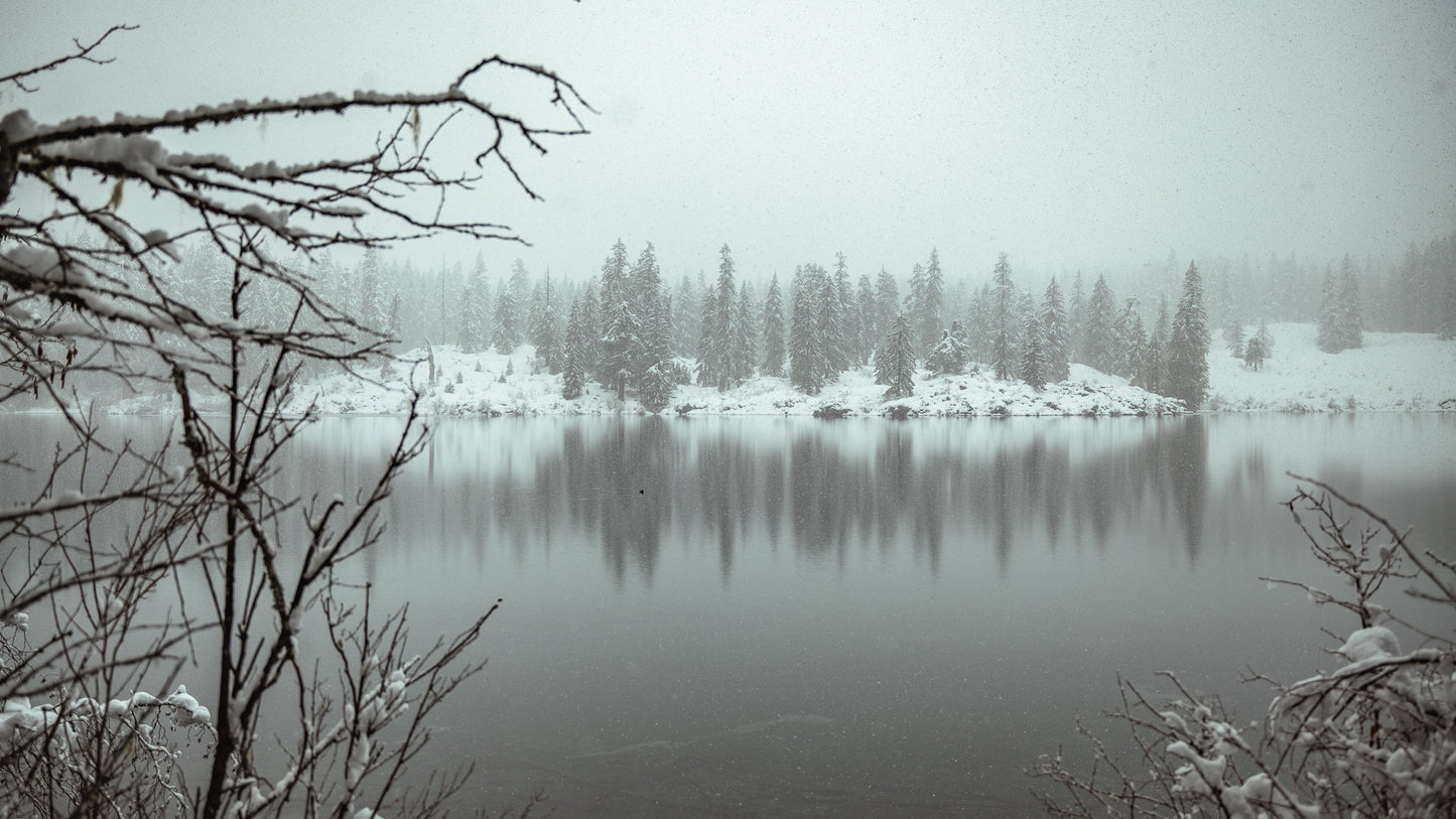 Stillness at Clear Lake
