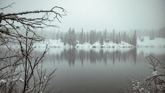 Stillness at Clear Lake