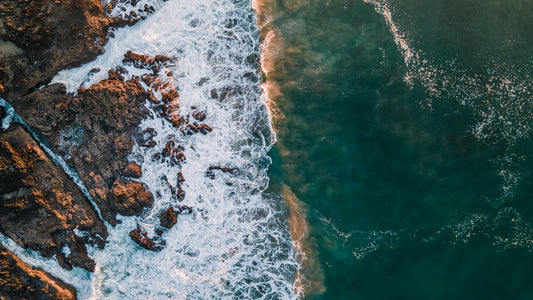 Sunset Shoreline