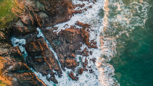 Intertidal Geometry
