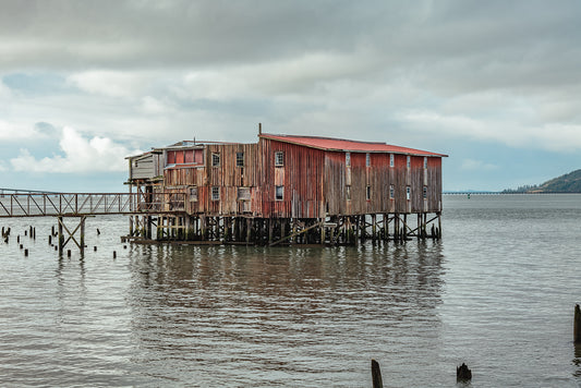 Salt and Timber