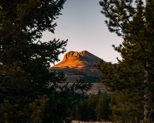 Alpenglow, San Juan Mountains