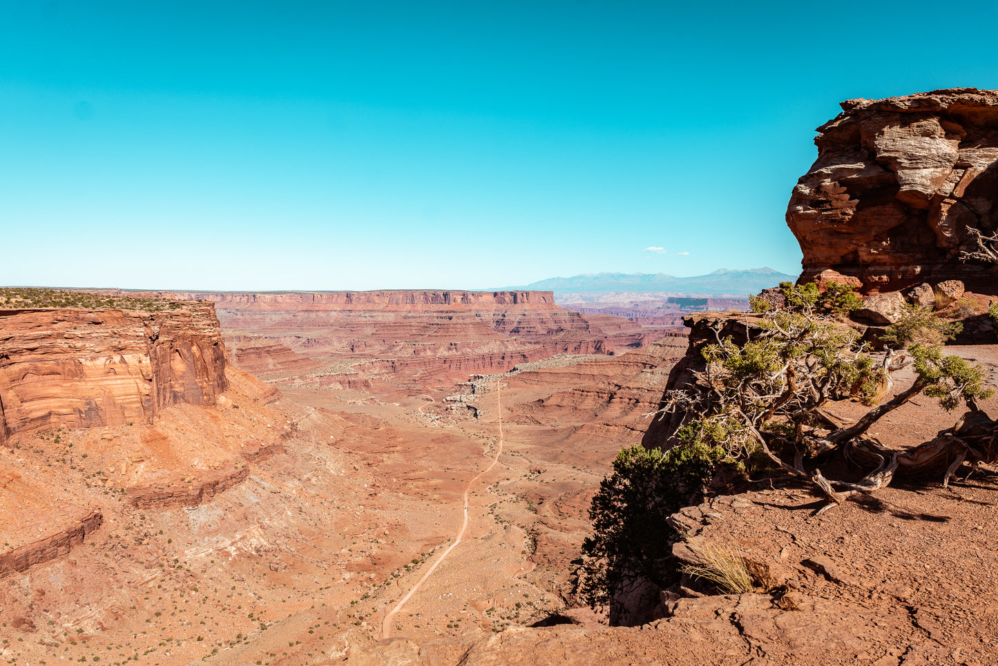 Road Through the Desert, Canyonlands National Park