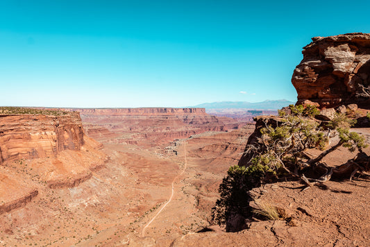 Road Through the Desert, Canyonlands National Park