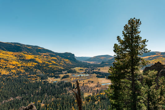 Autumn Valley, San Juan Mountains
