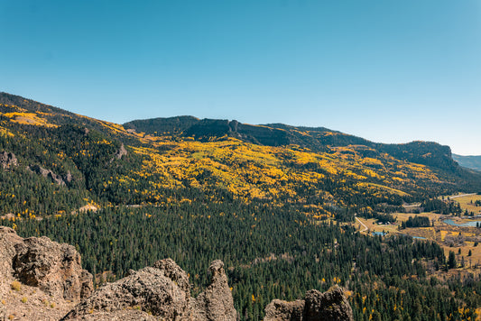 Golden Hillside, San Juan Mountains